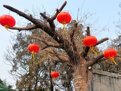 -商丘市人民公园