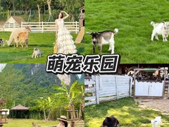 -上海山野camping·户外天幕烧烤·团建拓展营地