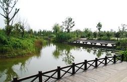 -梁鸿国家湿地公园
