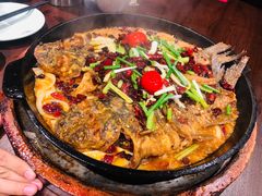 -老板恋上鱼(高新万达店)
