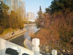 -团结湖公园