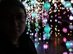 -路易斯安那现代艺术博物馆