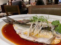 钱湖四宝-朋鱼-宁波柏悦酒店·钱湖渔港