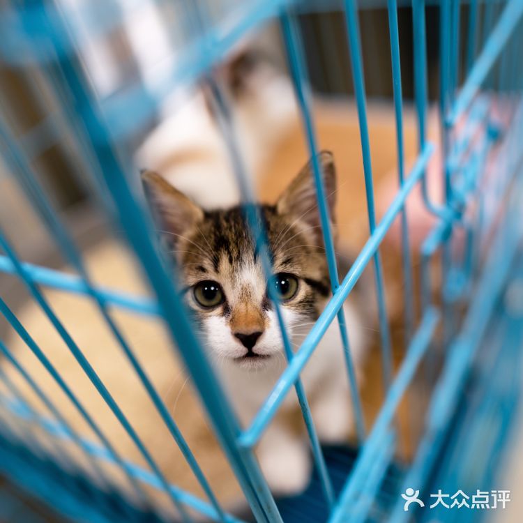 苏州探店｜24H 宠物医院🏥