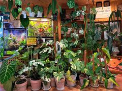 -Rabbit Cafe私房西餐甜点咖啡(栖霞路店)