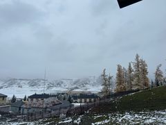 -喀纳斯鸿福生态度假酒店