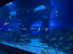 -上海海昌海洋公园-冰山北极馆