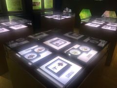 -上海昆虫博物馆