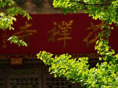 -雨花胜境