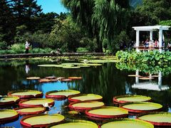 -国家植物园南园