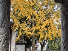 -丝绸小镇荻港古村