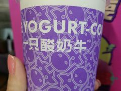 -一只酸奶牛(八一路店)