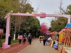 -洛龙公园