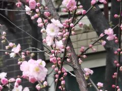 -合和大唐足道·泰式·SPA (凤城五路店)