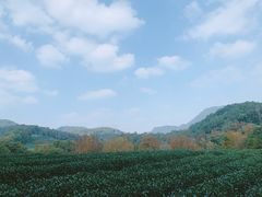 -西湖风景区十里琅珰-五云山