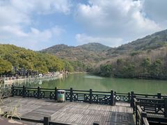 -白马涧龙池景区