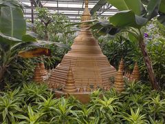 -南宫五洲植物乐园