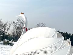 -九龙湾公园