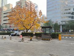 -局气 烤鸭·北京菜(光华路店)