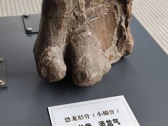 -辽宁古生物博物馆
