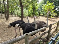 -大连森林动物园