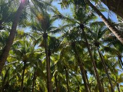 -海南分界洲岛旅游区