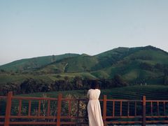 -帐篷客·溪龙茶谷度假酒店