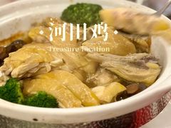 -绿岛国际酒店·海鲜酒楼(八七路店)