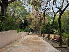 -九龙公园