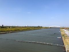 -春花秋色城市公园