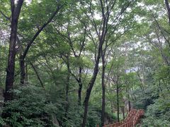 -大岭沟猕猴桃谷风景区