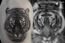 -飛凡TATTOO纹身•原创