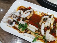 -港升鱼师傅·中山脆肉鲩