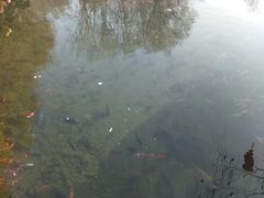 -水磨沟公园