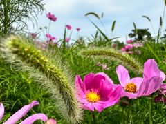 -汉景帝阳陵博物院