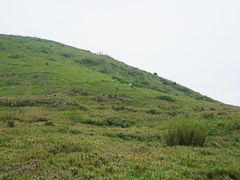 -嵛山岛