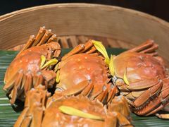 -成隆行·蟹王府(九江路店)