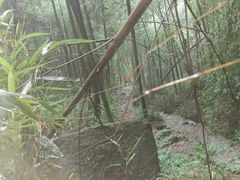 -会稽山峡洞漂流-上青古道