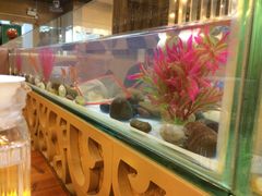 -金穗园·砂锅粥.醉鸡煲火锅(长寿路店)