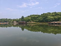 -中国西峡恐龙遗迹园
