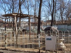 -1982农场