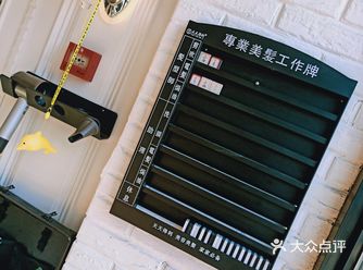 生活是一株大树,让人懂得撒下浓荫