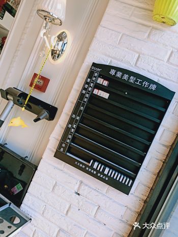 生活是一株大树,让人懂得撒下浓荫