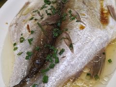 太湖白鱼-湾里人家(旺山景区店)