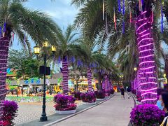 -三亚海昌梦幻海洋不夜城