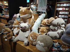 -九木杂物社(恒隆广场店)