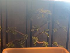 -百富源·海鲜辽菜(和平北大街店)