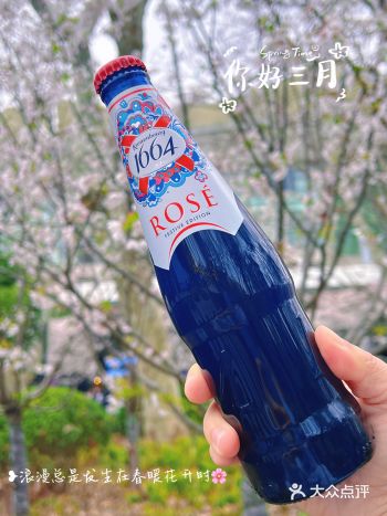 樱花季赏花怎能少了1664嘉士伯桃红