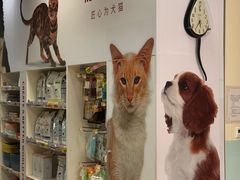 -瑞派申生动物医院·24H夜诊·国际动物医疗中心·骨外科(吴中路店)