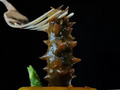 -广州柏悦酒店·悦景轩·粤菜餐厅